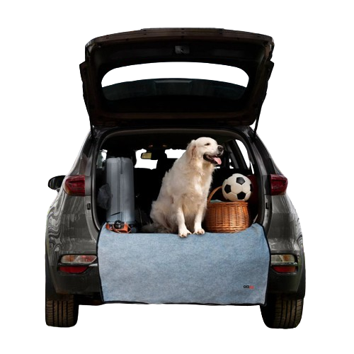 dog over a mat in a car 